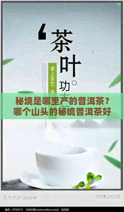 秘境是哪里产的普洱茶？哪个山头的秘境普洱茶好？