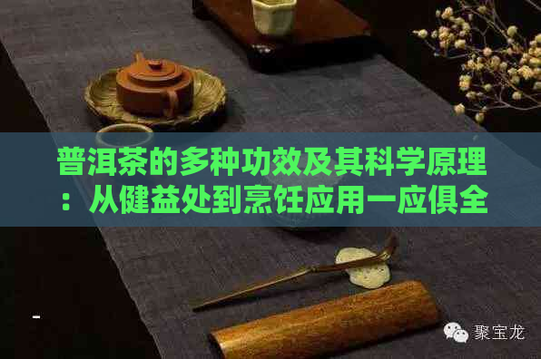 普洱茶的多种功效及其科学原理：从健益处到烹饪应用一应俱全