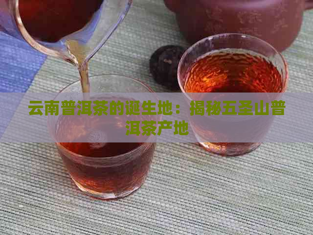 云南普洱茶的诞生地：揭秘五圣山普洱茶产地