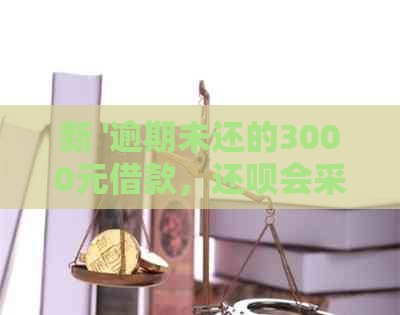 新 '逾期未还的3000元借款，还呗会采取哪些措？'