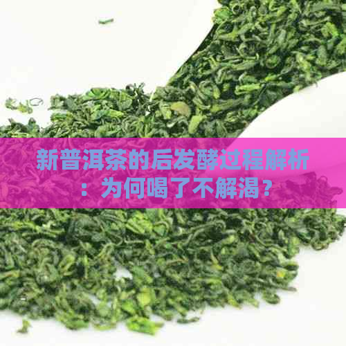 新普洱茶的后发酵过程解析：为何喝了不解渴？