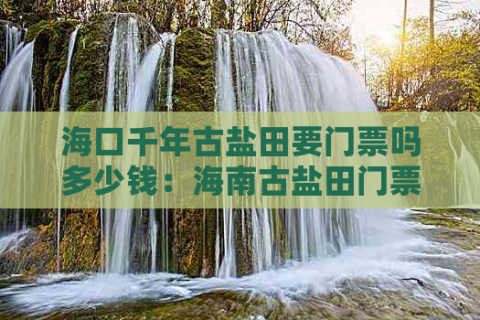 海口千年古盐田要门票吗多少钱：海南古盐田门票价格及购票攻略