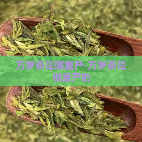 万岁茶是哪里产-万岁茶是哪里产的