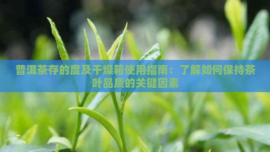 普洱茶存的度及干燥箱使用指南：了解如何保持茶叶品质的关键因素