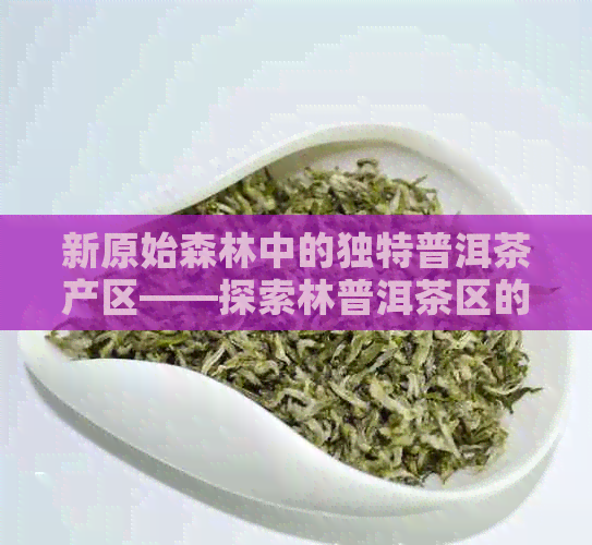 新原始森林中的独特普洱茶产区——探索林普洱茶区的奥秘与魅力