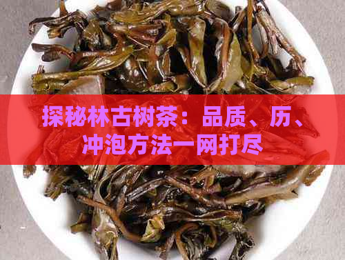 探秘林古树茶：品质、历、冲泡方法一网打尽