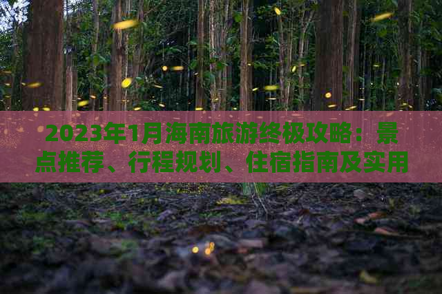 2023年1月海南旅游终极攻略：景点推荐、行程规划、住宿指南及实用贴士