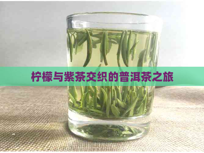 柠檬与紫茶交织的普洱茶之旅