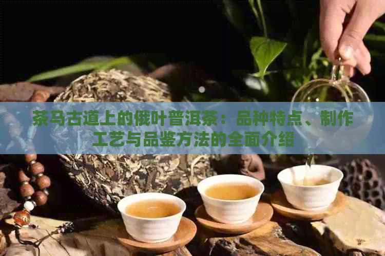 茶马古道上的俄叶普洱茶：品种特点、制作工艺与品鉴方法的全面介绍