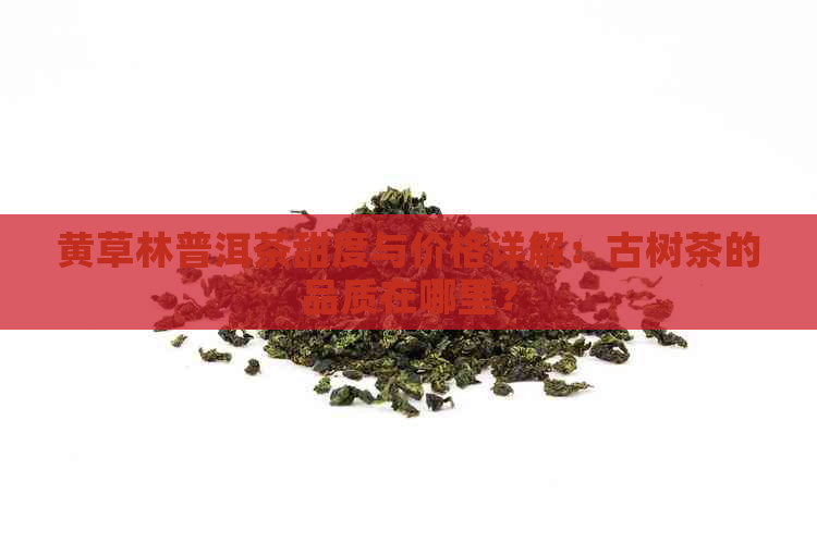 黄草林普洱茶甜度与价格详解：古树茶的品质在哪里？