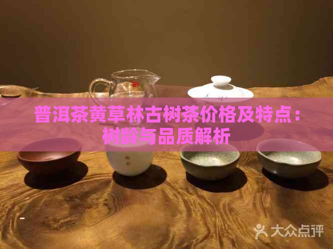 普洱茶黄草林古树茶价格及特点：树龄与品质解析