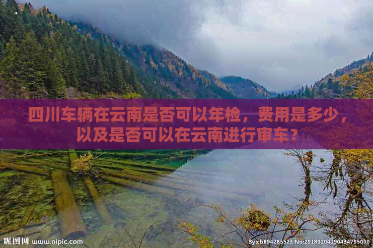 四川车辆在云南是否可以年检，费用是多少，以及是否可以在云南进行审车？