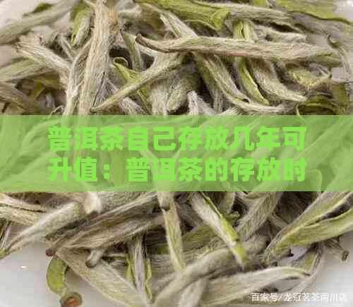 普洱茶自己存放几年可升值：普洱茶的存放时间与升值相关吗？