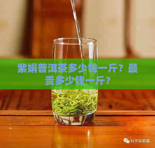 紫娟普洱茶多少钱一斤？最贵多少钱一斤？