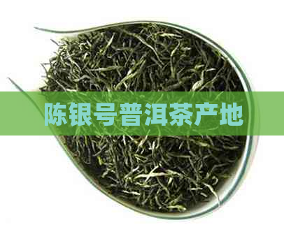 陈银号普洱茶产地