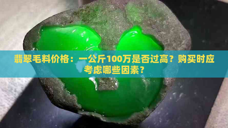 翡翠毛料价格：一公斤100万是否过高？购买时应考虑哪些因素？