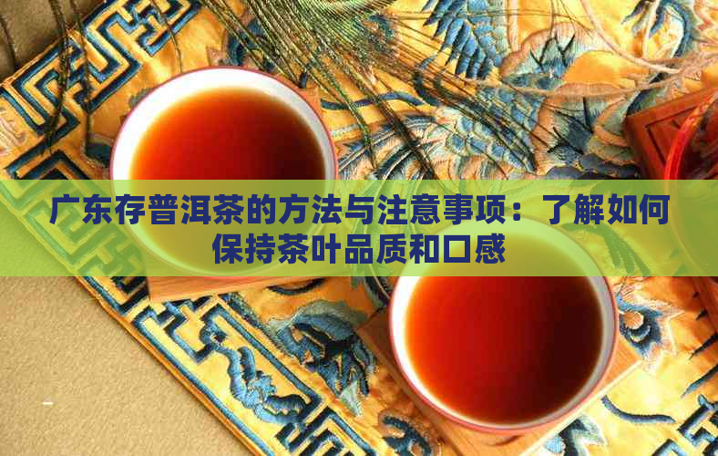 广东存普洱茶的方法与注意事项：了解如何保持茶叶品质和口感