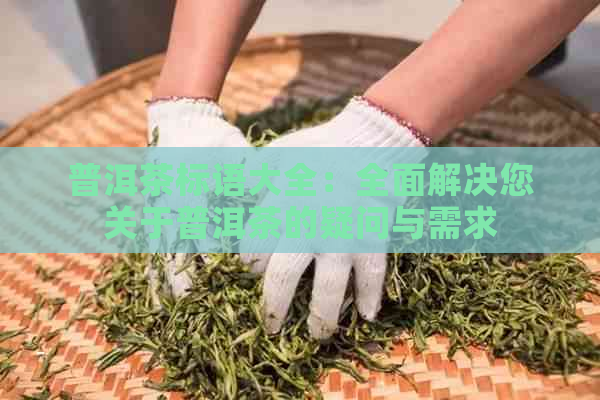 普洱茶标语大全：全面解决您关于普洱茶的疑问与需求