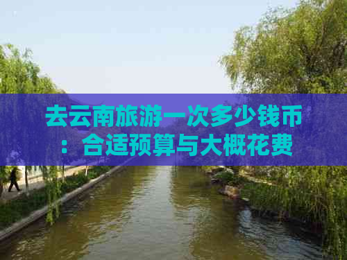 去云南旅游一次多少钱币：合适预算与大概花费