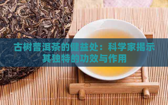 古树普洱茶的健益处：科学家揭示其独特的功效与作用