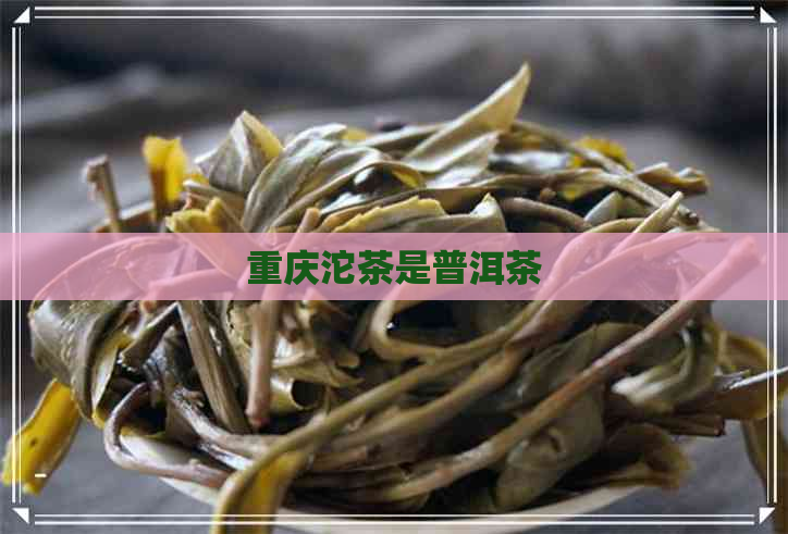 重庆沱茶是普洱茶