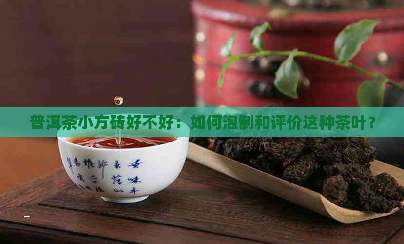 普洱茶小方砖好不好：如何泡制和评价这种茶叶？