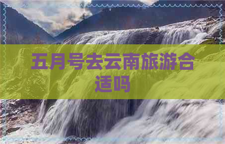 五月号去云南旅游合适吗