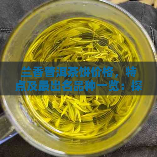 兰香普洱茶饼价格，特点及最出名品种一览：探究贵气普洱茶的魅力