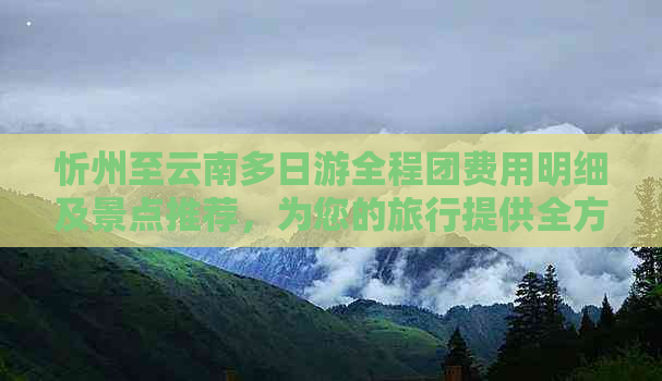 忻州至云南多日游全程团费用明细及景点推荐，为您的旅行提供全方位服务