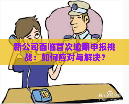 新公司面临首次逾期申报挑战：如何应对与解决？