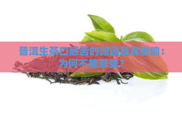 普洱生茶口感苦的原因及其影响：为何不能忍受？