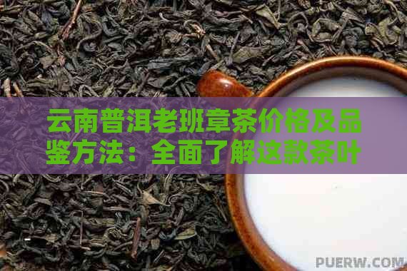 云南普洱老班章茶价格及品鉴方法：全面了解这款茶叶的购买指南