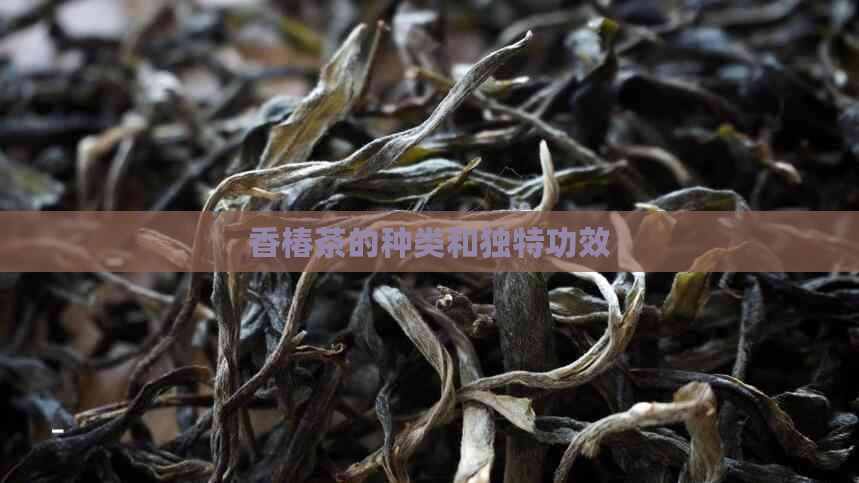 香椿茶的种类和独特功效