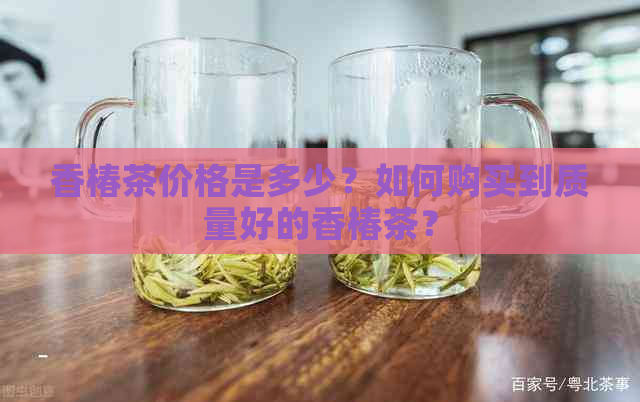 香椿茶价格是多少？如何购买到质量好的香椿茶？