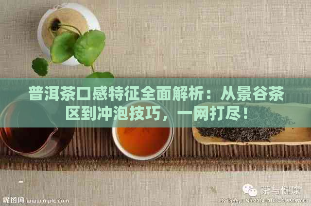 普洱茶口感特征全面解析：从景谷茶区到冲泡技巧，一网打尽！