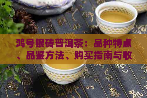 鸿号银砖普洱茶：品种特点、品鉴方法、购买指南与收藏价值全面解析