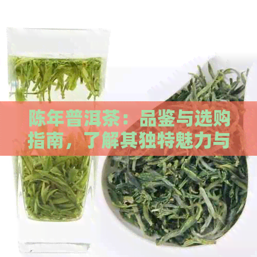 陈年普洱茶：品鉴与选购指南，了解其独特魅力与存技巧