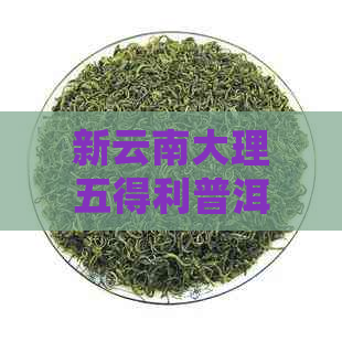 新云南大理五得利普洱茶的产地及其品质特点分析