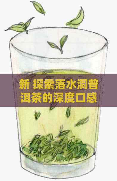 新 探索落水洞普洱茶的深度口感：一款独特的美味体验