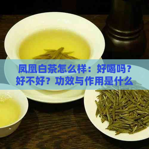 凤凰白茶怎么样：好喝吗？好不好？功效与作用是什么？价格如何？