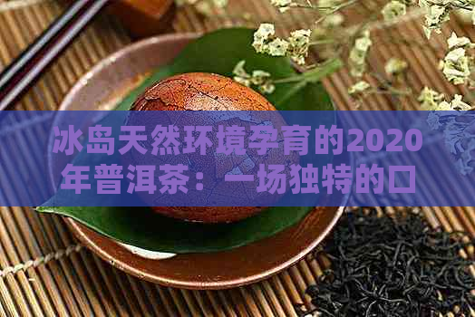 冰岛天然环境孕育的2020年普洱茶：一场独特的口感之旅