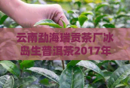 云南勐海瑞贡茶厂冰岛生普洱茶2017年价格表，瑞贡冰岛限量版