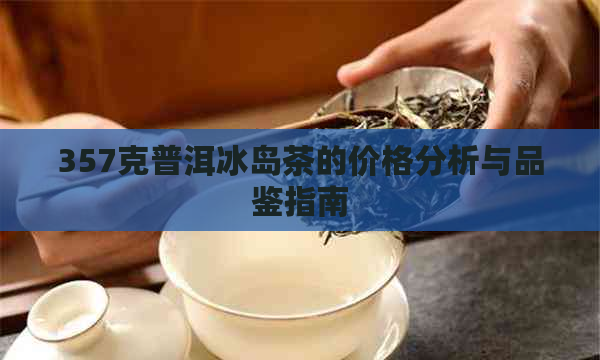 357克普洱冰岛茶的价格分析与品鉴指南