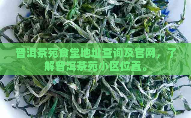 普洱茶苑食堂地址查询及官网，了解普洱茶苑小区位置。