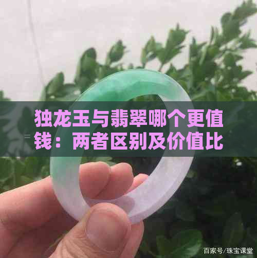 独龙玉与翡翠哪个更值钱：两者区别及价值比较