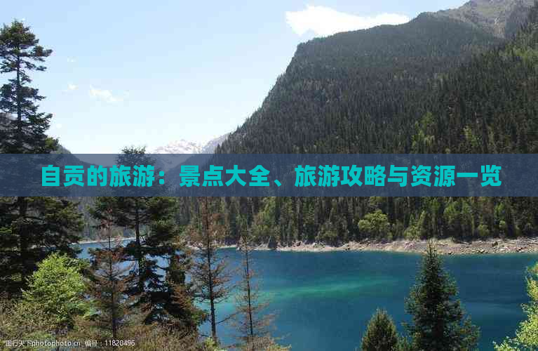 自贡的旅游：景点大全、旅游攻略与资源一览