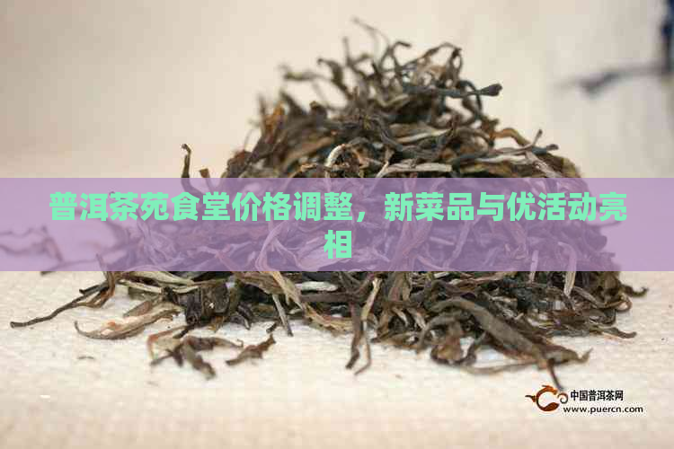 普洱茶苑食堂价格调整，新菜品与优活动亮相