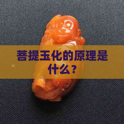 菩提玉化的原理是什么？