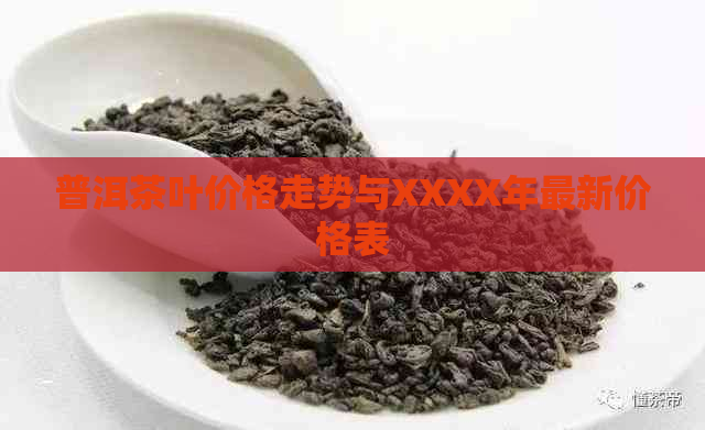 普洱茶叶价格走势与XXXX年最新价格表