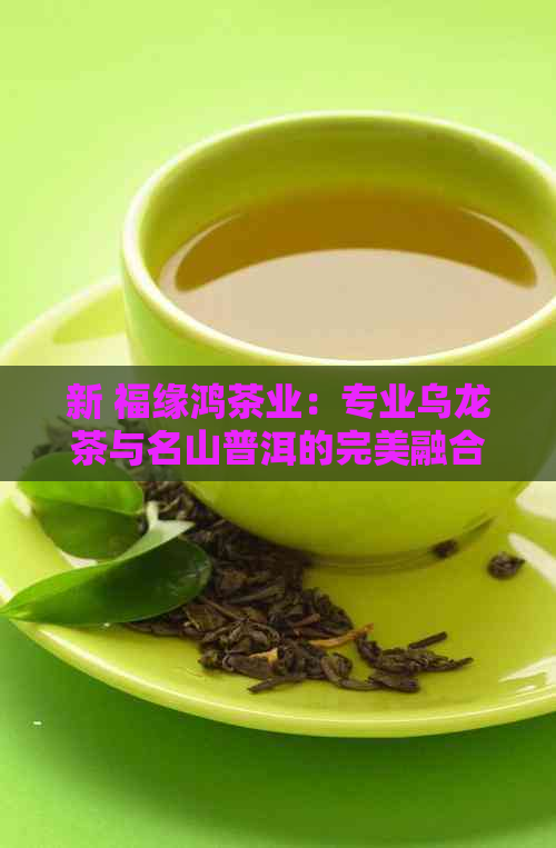 新 福缘鸿茶业：专业乌龙茶与名山普洱的完美融合